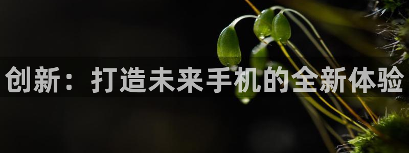 28大神苹果在线安装：创新：打造未来手机的全新体验