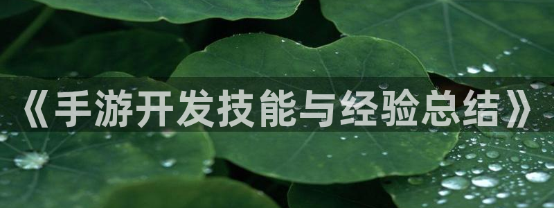 完美电竞结果预测在线：《手游开发技能与经验总结》