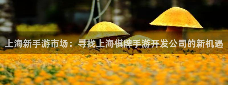 28大神开奖记录：上海新手游市场：寻找上海棋牌手游开发公司的