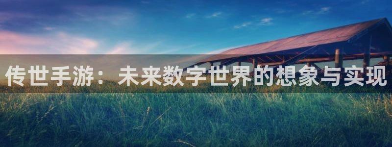 28大神软件不能用了：传世手游：未来数字世界的想象与实现