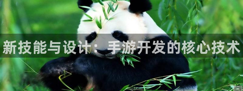 28大神眯牌：新技能与设计：手游开发的核心技术