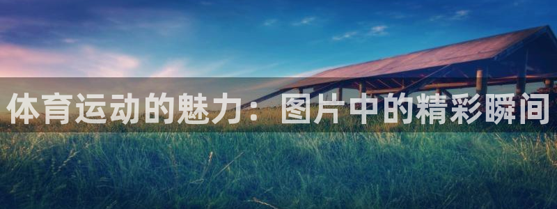 bbin视讯下