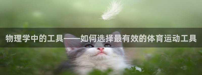 bbin视讯