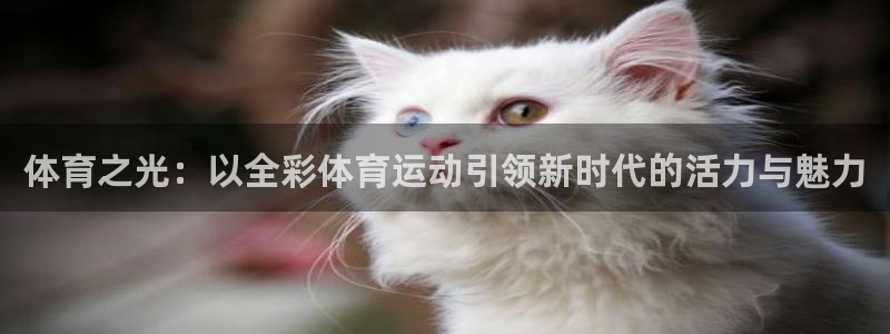bbin视讯：体育之光：以全彩体育运动引领新时代的活力与魅力