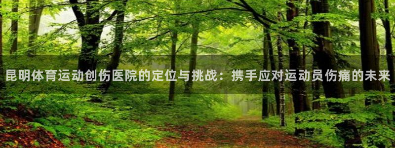 bbin视讯游戏平台：昆明体育运动创伤医院的定位与挑战：携手应对运动员伤痛的未来