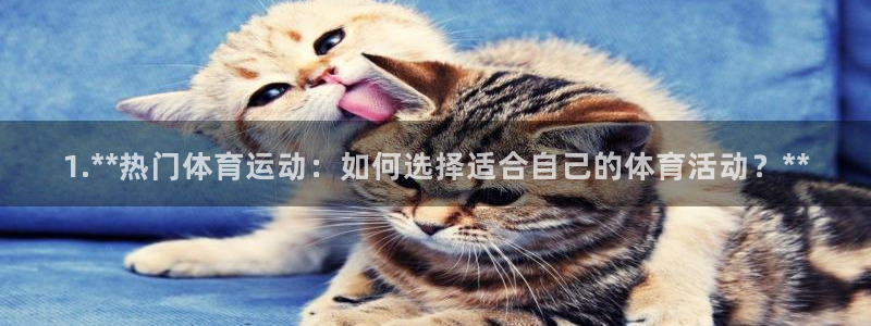 bbin视讯游戏平台