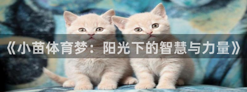 bbin视讯游戏官网：《小苗体育梦：阳光下的智慧与力量》