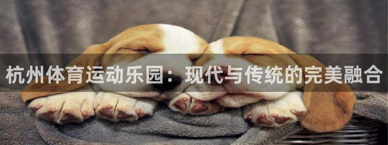 bbin视讯下：杭州体育运动乐园：现代与传统的完美融合