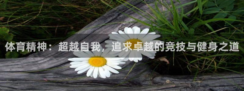bbin视讯下：体育精神：超越自我，追求卓越的竞技与健身之道