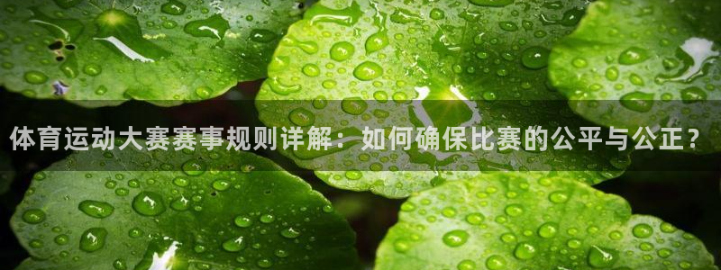 bbin视讯游戏平台