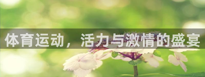 bbin视讯下：体育运动，活力与激情的盛宴