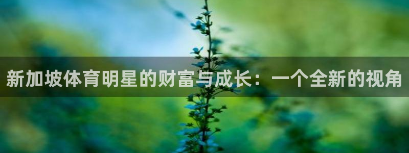 bbin视讯游戏官网：新加坡体育明星的财富与成长：一个全新的视角