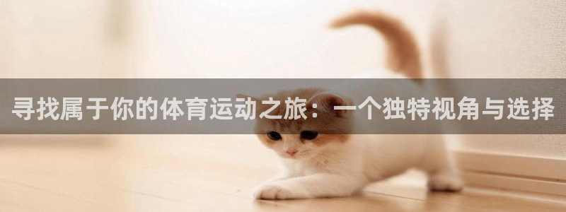 bbin视讯游戏平台：寻找属于你的体育运动之旅：一个独特视角与选择